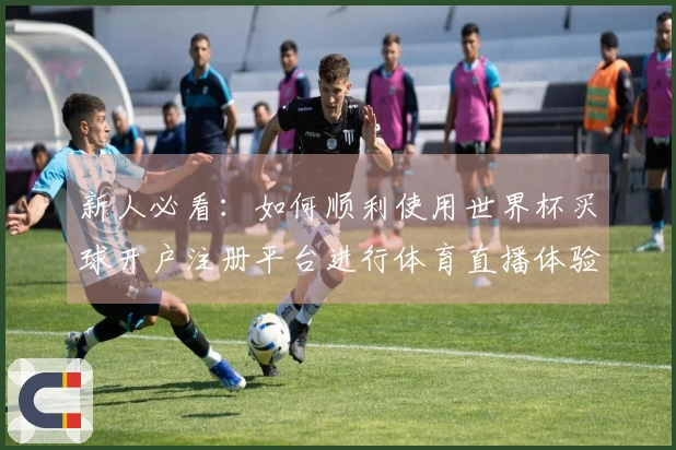 新人必看：如何顺利使用世界杯买球开户注册平台进行体育直播体验
