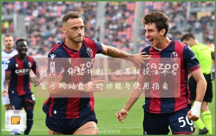 新用户体验评测：世界杯投注平台官方网站首页的功能与使用指南
