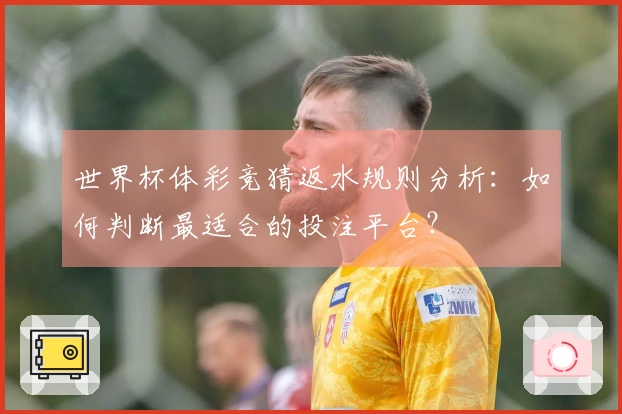 世界杯体彩竞猜返水规则分析：如何判断最适合的投注平台？