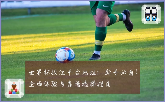 世界杯投注平台地址：新手必看！全面体验与靠谱选择指南