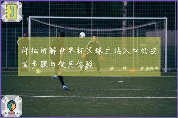 详细讲解世界杯买球主站入口的安装步骤与使用体验