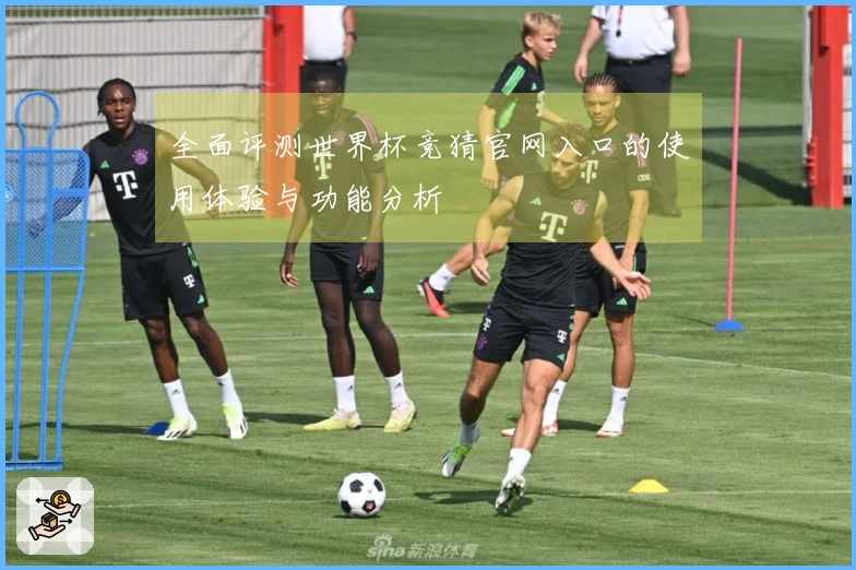 全面评测世界杯竞猜官网入口的使用体验与功能分析