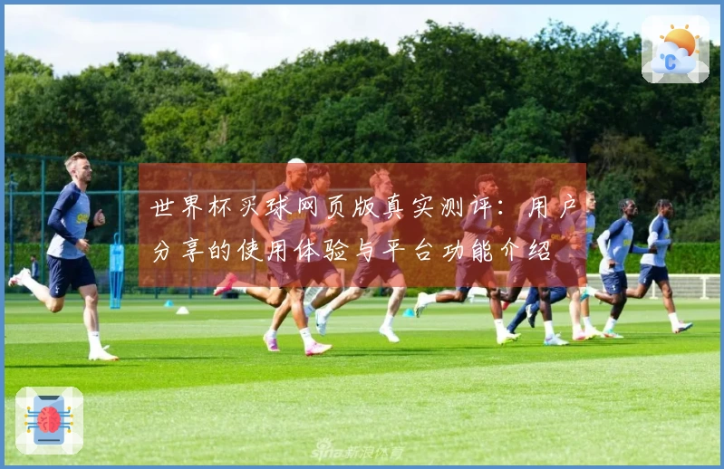 世界杯买球网页版真实测评：用户分享的使用体验与平台功能介绍