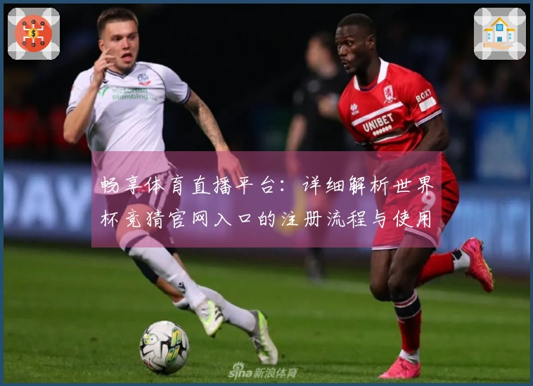 畅享体育直播平台：详细解析世界杯竞猜官网入口的注册流程与使用体验