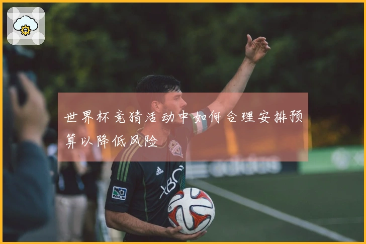 世界杯竞猜活动中如何合理安排预算以降低风险