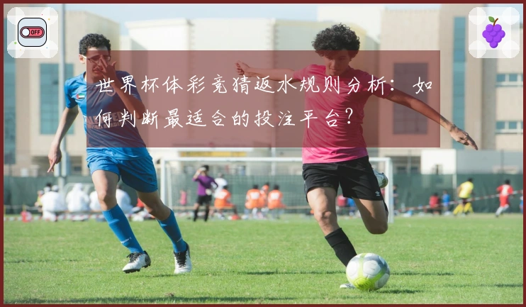 世界杯体彩竞猜返水规则分析：如何判断最适合的投注平台？