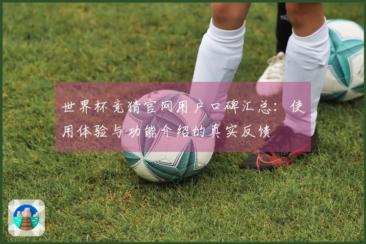 世界杯竞猜官网用户口碑汇总：使用体验与功能介绍的真实反馈