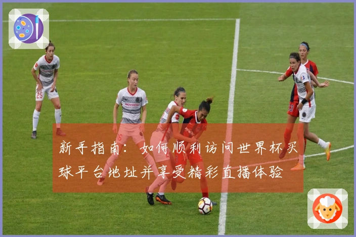 新手指南：如何顺利访问世界杯买球平台地址并享受精彩直播体验