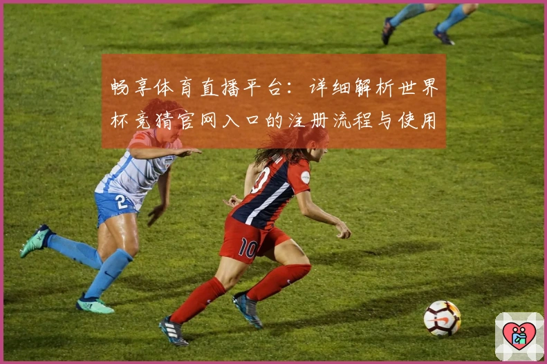 畅享体育直播平台：详细解析世界杯竞猜官网入口的注册流程与使用体验