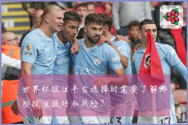 世界杯投注平台选择时需要了解哪些投注技巧和风险？