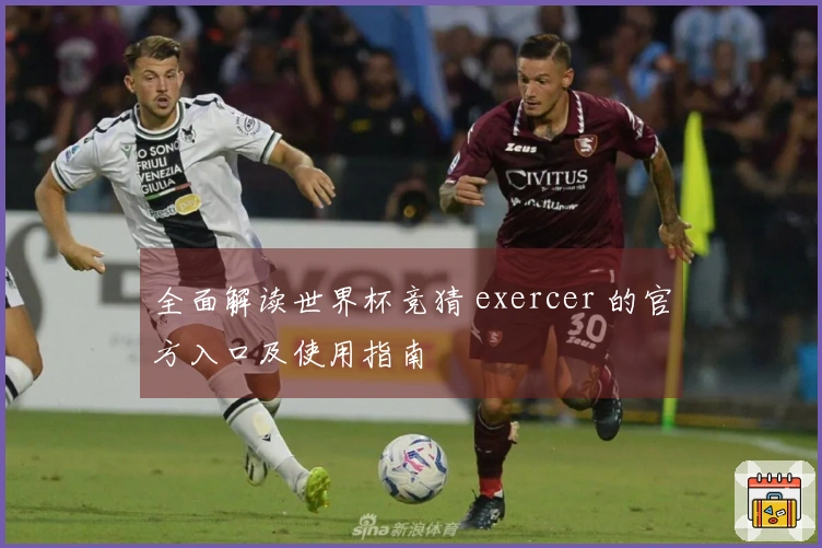 全面解读世界杯竞猜 exercer 的官方入口及使用指南
