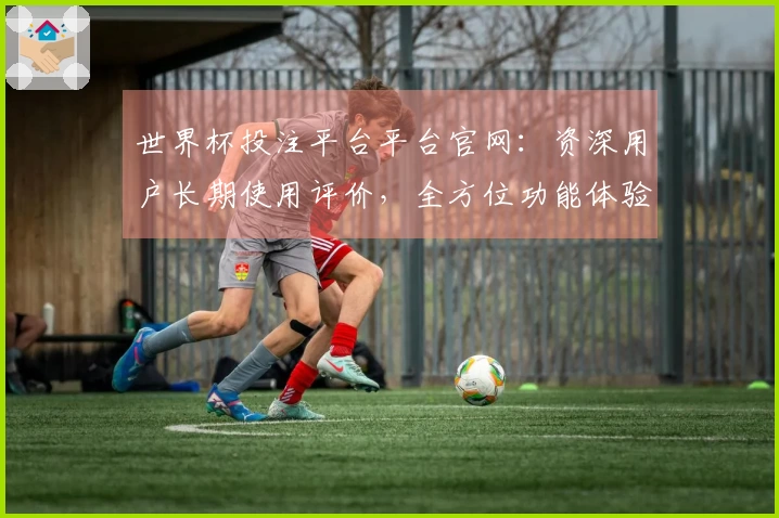 世界杯投注平台平台官网：资深用户长期使用评价，全方位功能体验与价值洞察