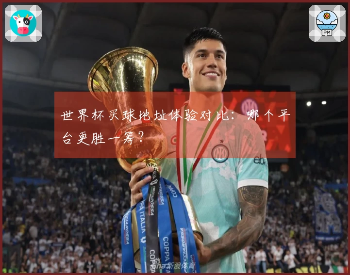 世界杯买球地址体验对比：哪个平台更胜一筹？
