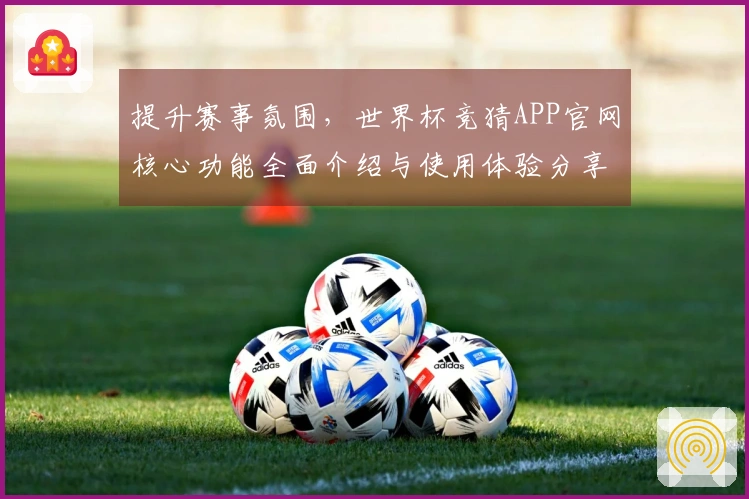 提升赛事氛围，世界杯竞猜APP官网核心功能全面介绍与使用体验分享