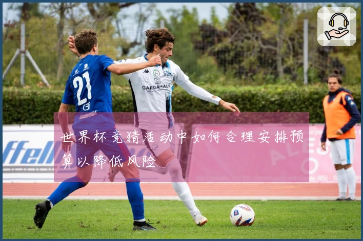 世界杯竞猜活动中如何合理安排预算以降低风险