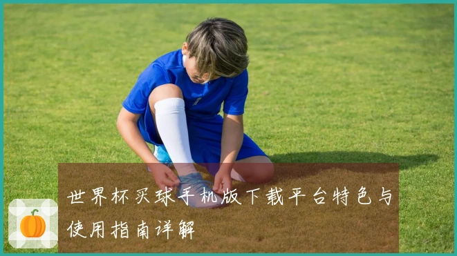 世界杯买球手机版下载平台特色与使用指南详解
